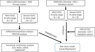 Establishment of a Risk Score Model for Early Prediction of Severe H1N1 Influenza